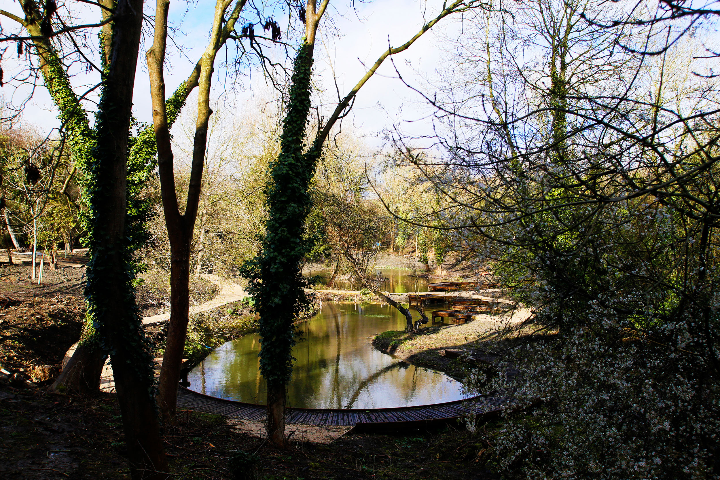 WCFI woodland setting in Central Oxford